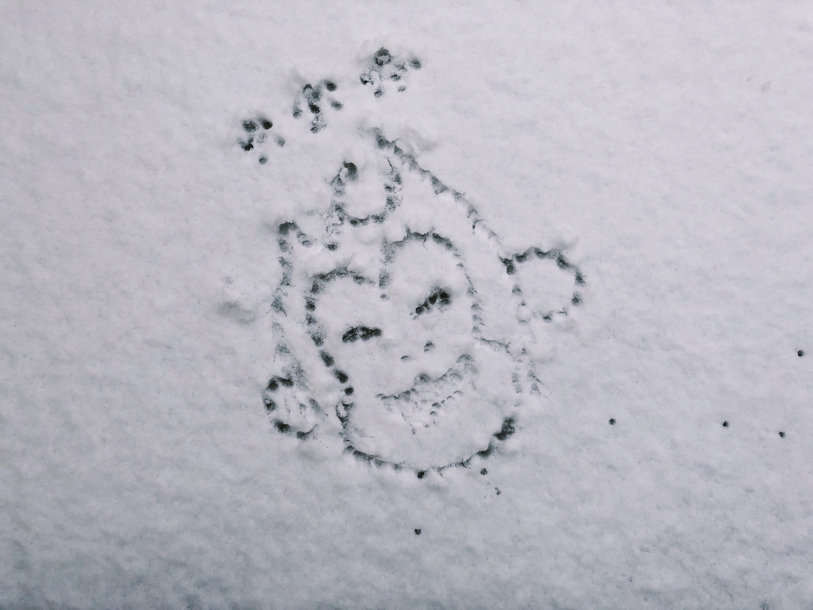 GoriMe-Snowing-20180122.jpeg