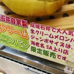 Ebina-Parking-Jumbo-Cream-Melon-Pan-Seijo-Ishii-03.jpg