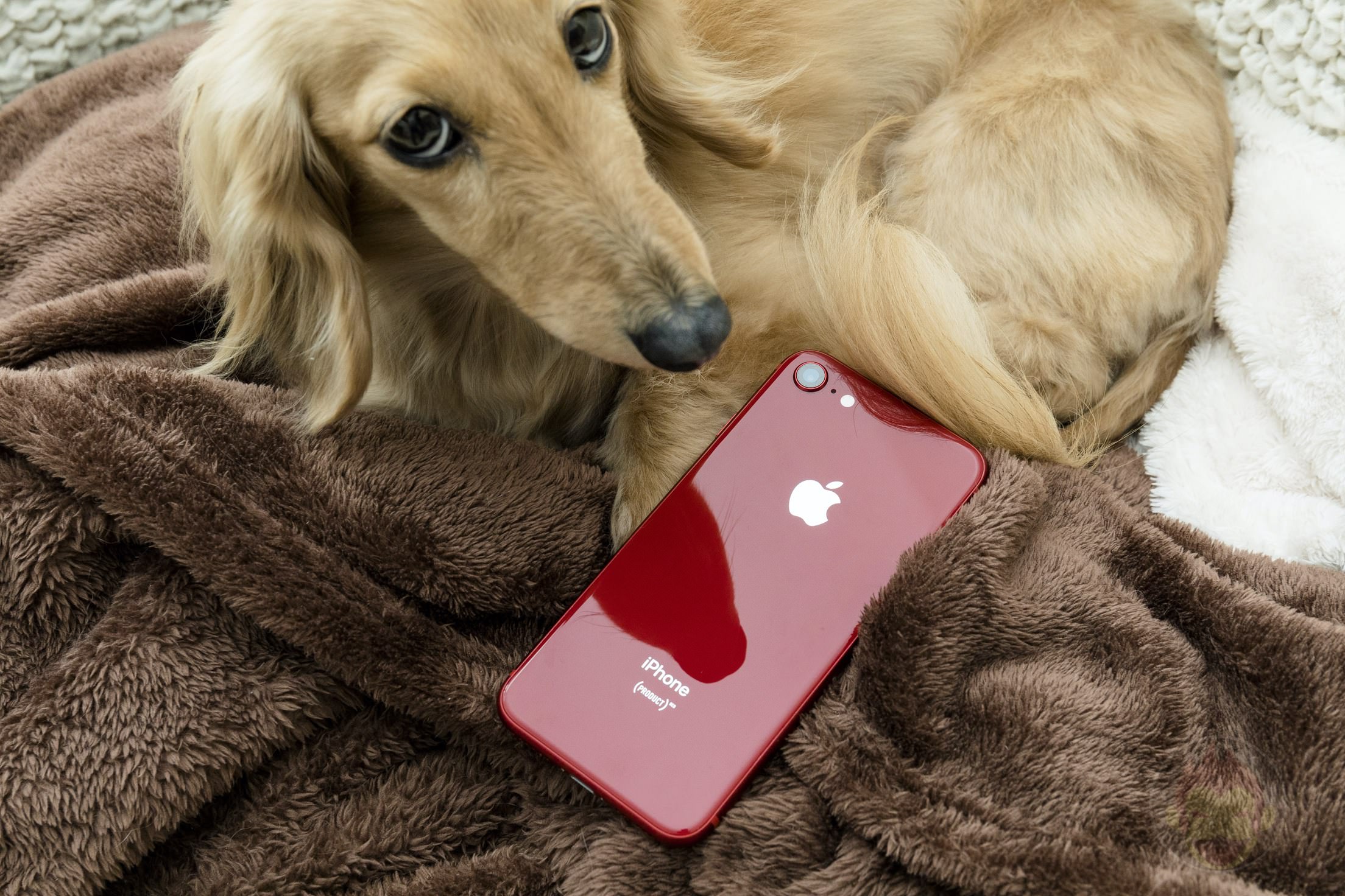 iPhone-8-PRODUCT-RED-Special-Edition-15.jpg