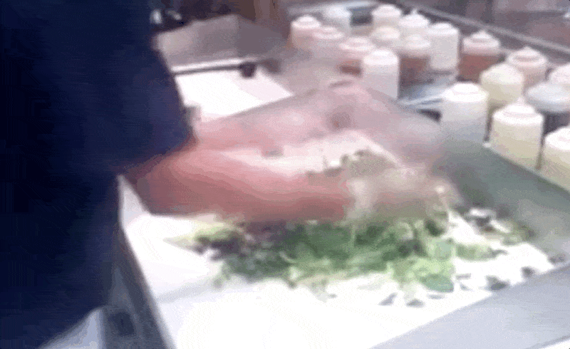 High-Speed-Chopping-Salad