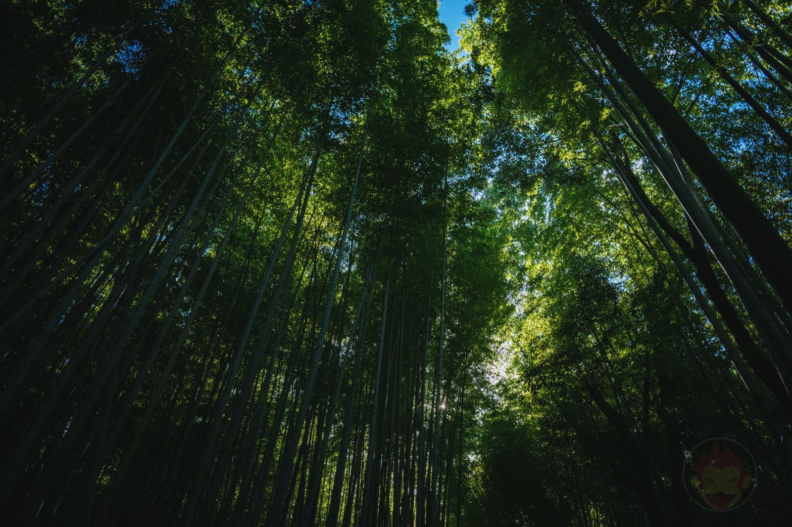 Kyoto-Arashiyama-Chikurin-04.jpg