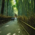 Kyoto-Arashiyama-Chikurin-05.jpg