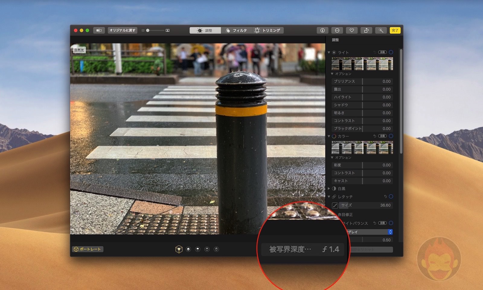 Macos Mojave 写真 アプリで Iphone Xs Xs Max で撮影した写真の深度コントロールが可能 ゴリミー