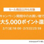 Point-Up-Campaign-Amazon-TimeSale-201902.jpg