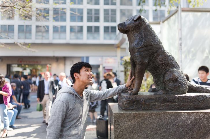 shibuya_hachikou201409211318064c_TP_V-hachi.jpg