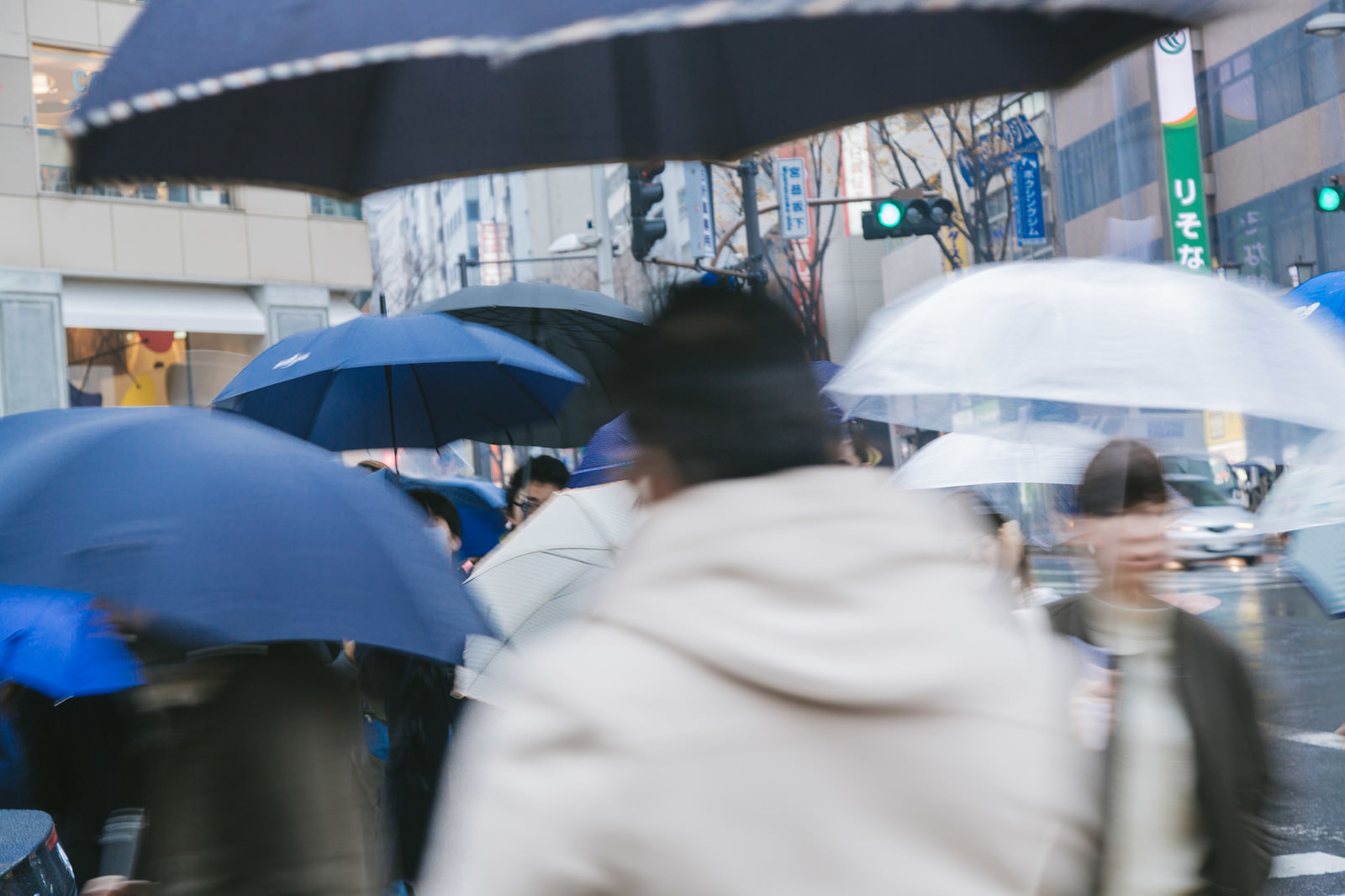 amehuru0I9A4492_TP_V-rain-and-umbrella.jpg