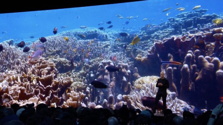 WWDC-2019-On-Stage-404