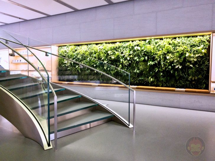 Apple-Store-Omotesando-Basement-floor-renewal-49.jpg