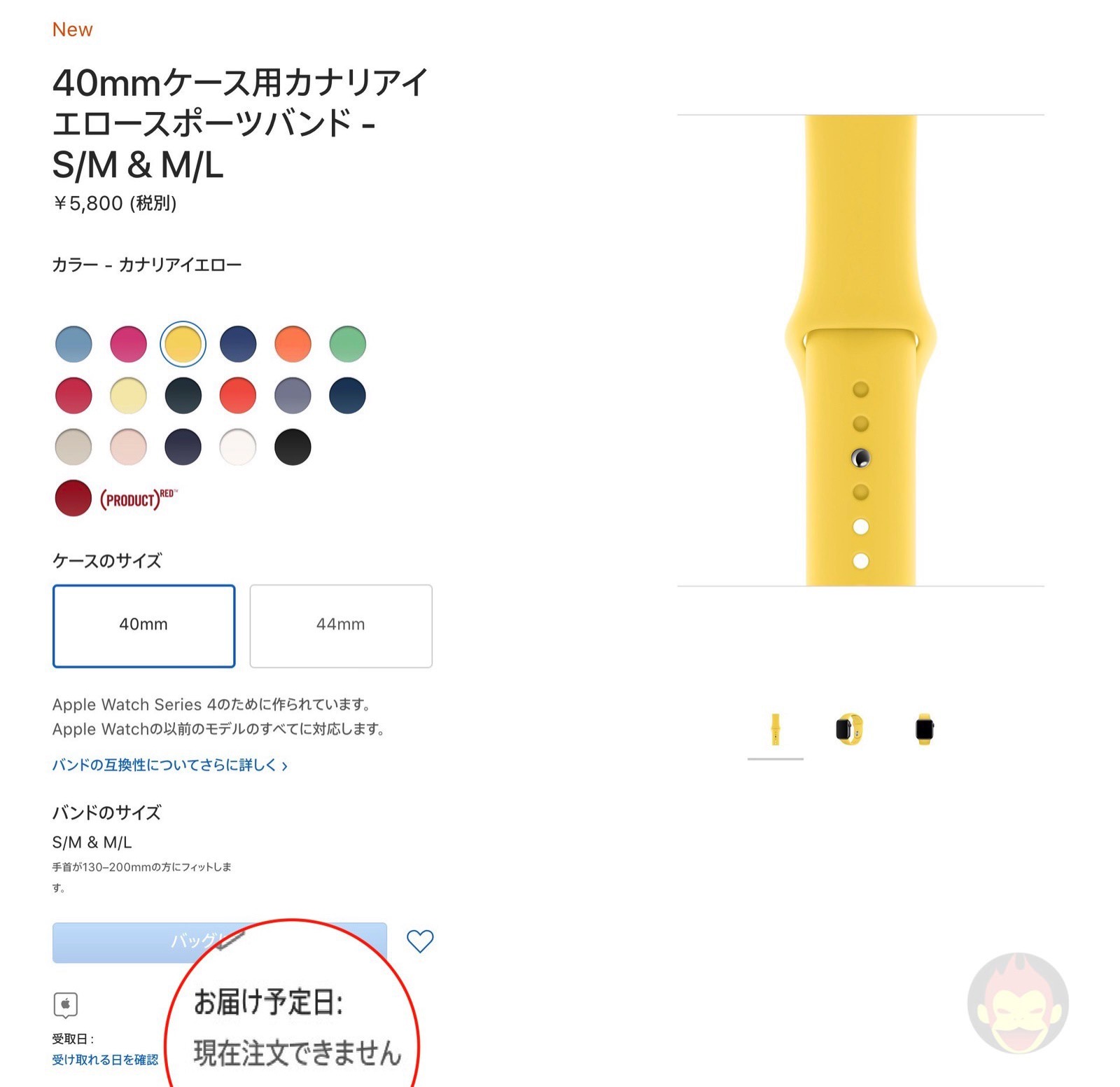 Apple-Watch-Band-Cannot-Order-01.jpg