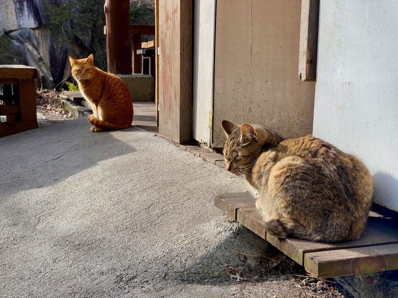 Shosenkyo-Yamanashi-43