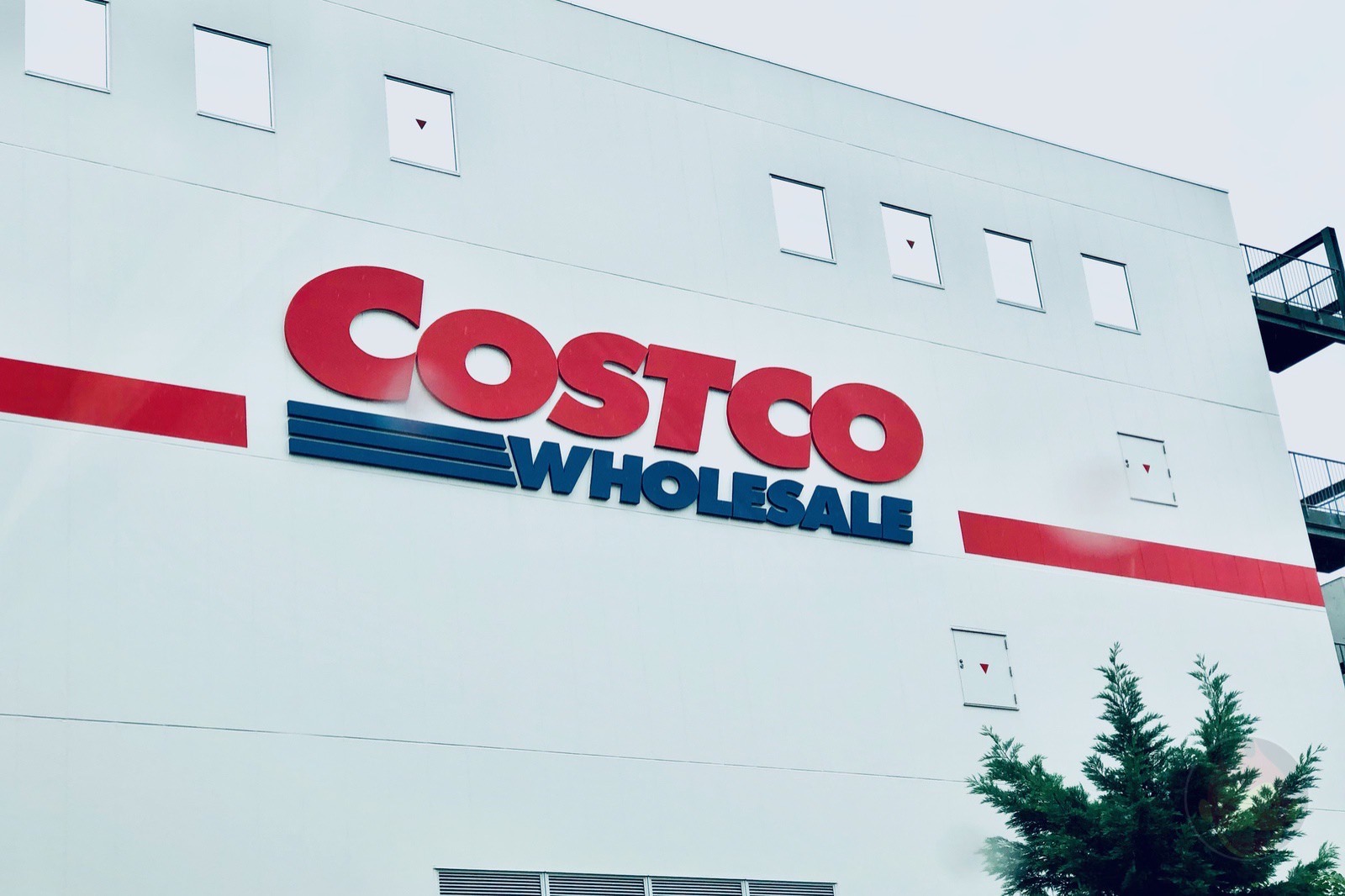 Costco Wholesale Logo 01