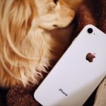 iPhone8-with-my-dog-01.jpeg