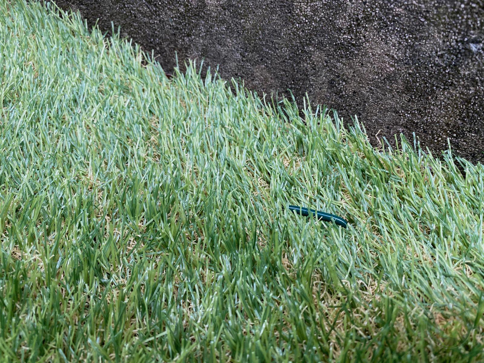 Artificial lawn in backyard review 19