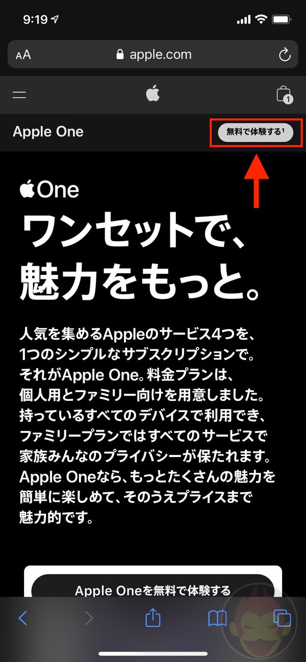 How to start using AppleOne Web 00