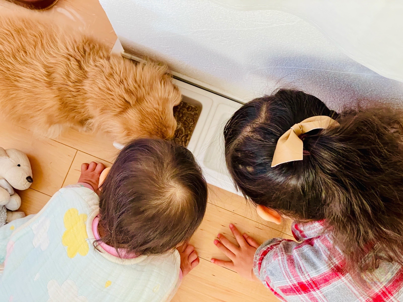 My-Daughters-watching-the-dog-eat-supper-01.jpg