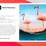 Adobe-Photoshop-How-to-run-Native-or-Rosetta-04.jpg