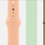 Apple-Watch-Band-Spring-Colors.jpg