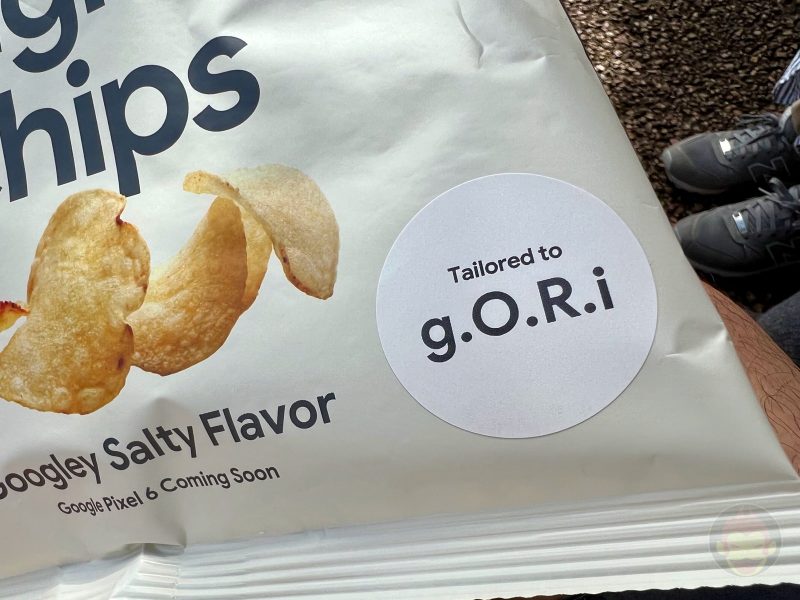Google-Chips-Googley-Salty-Flavor-04.jpg