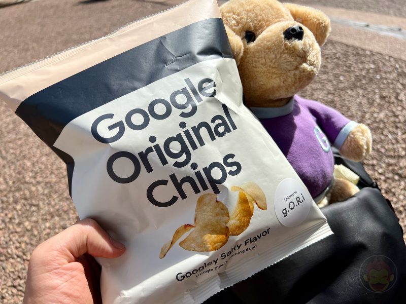 Google-Chips-Googley-Salty-Flavor-05.jpg
