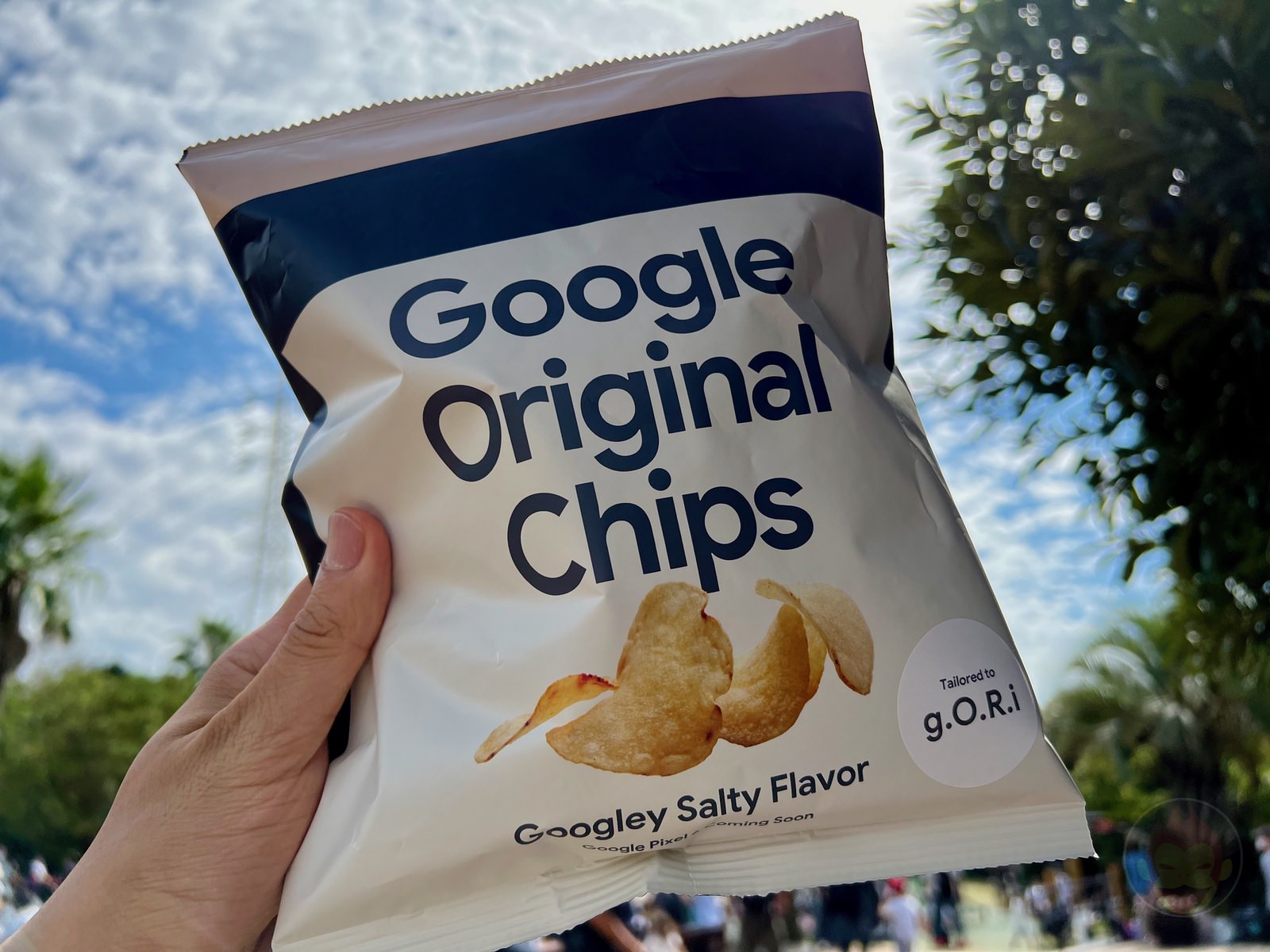 Google-Chips-Googley-Salty-Flavor-08.jpg