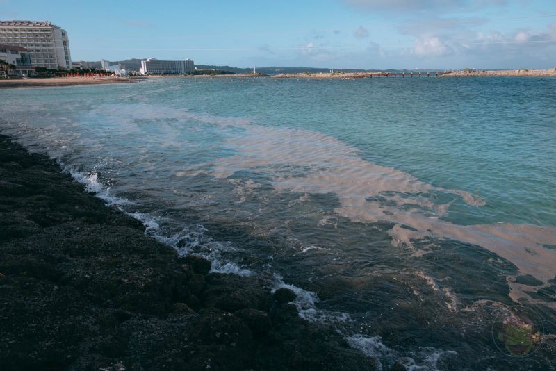 Okinawa-Beach-Karuishi-Problem-07.jpg