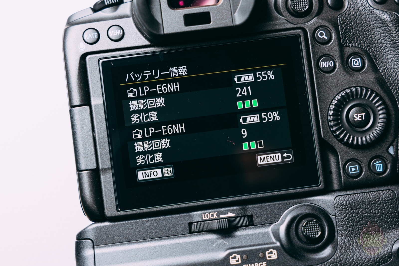 Canon-R5-R6-Battery-Grip-BG-R10-Review-16.jpg
