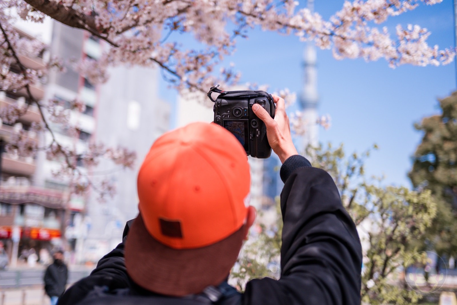 GoriMe CherryBlossoms and Skytree Photowalk07
