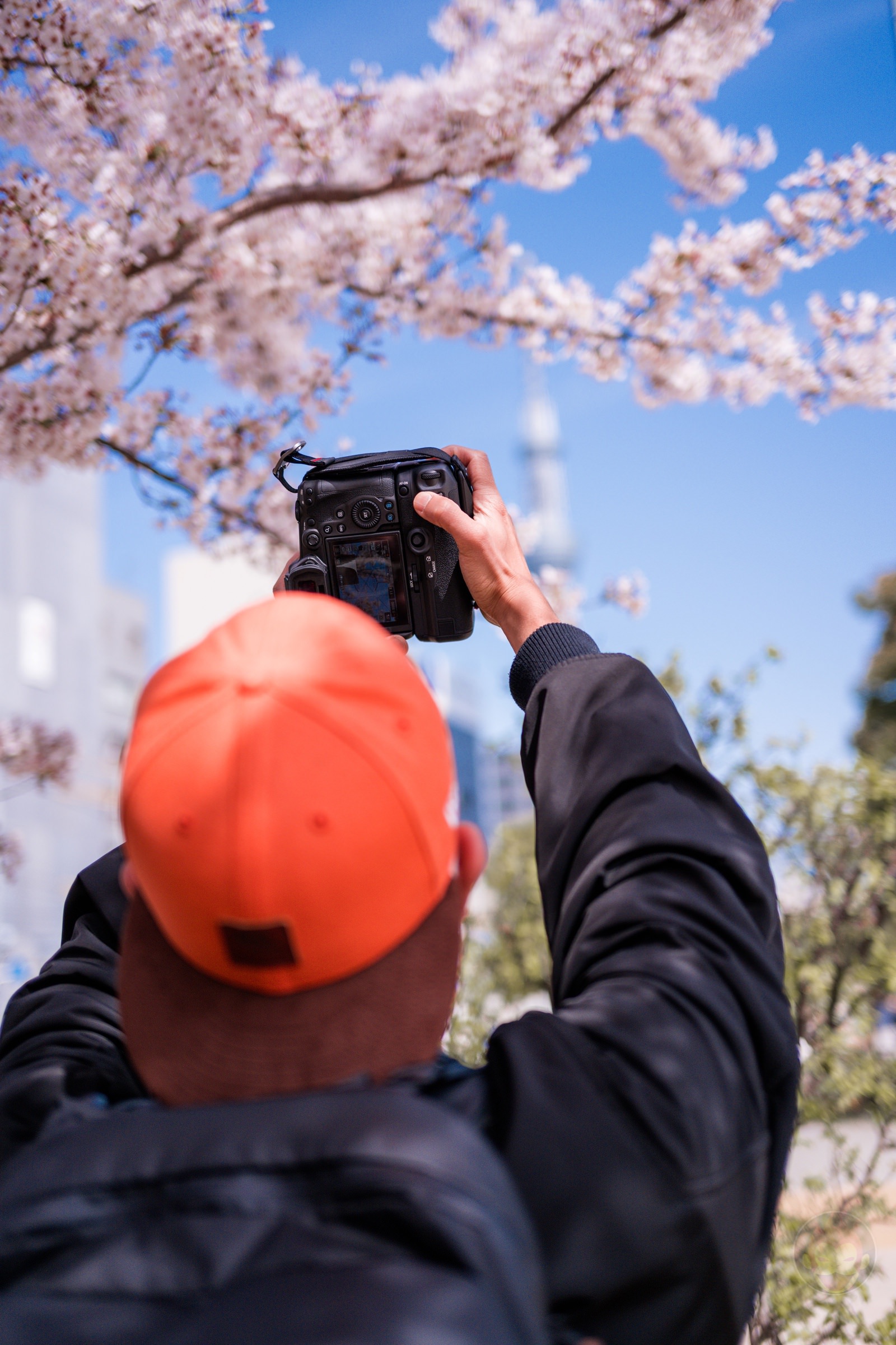 GoriMe-CherryBlossoms-and-Skytree-Photowalk08.jpg