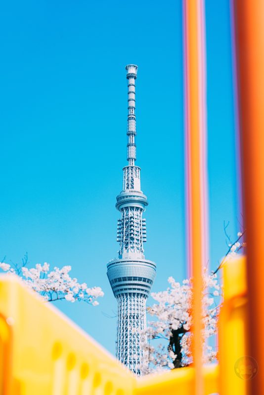 Sky-Tree-And-Sakura-Spring-2022-03.jpg