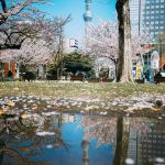 Sky-Tree-And-Sakura-Spring-2022-04.jpg