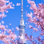 Sky-Tree-And-Sakura-Spring-2022-07.jpg