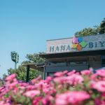 HANA-BIYORI-Yomiuri-Land-Flower-Park-FIreflies-01.jpg