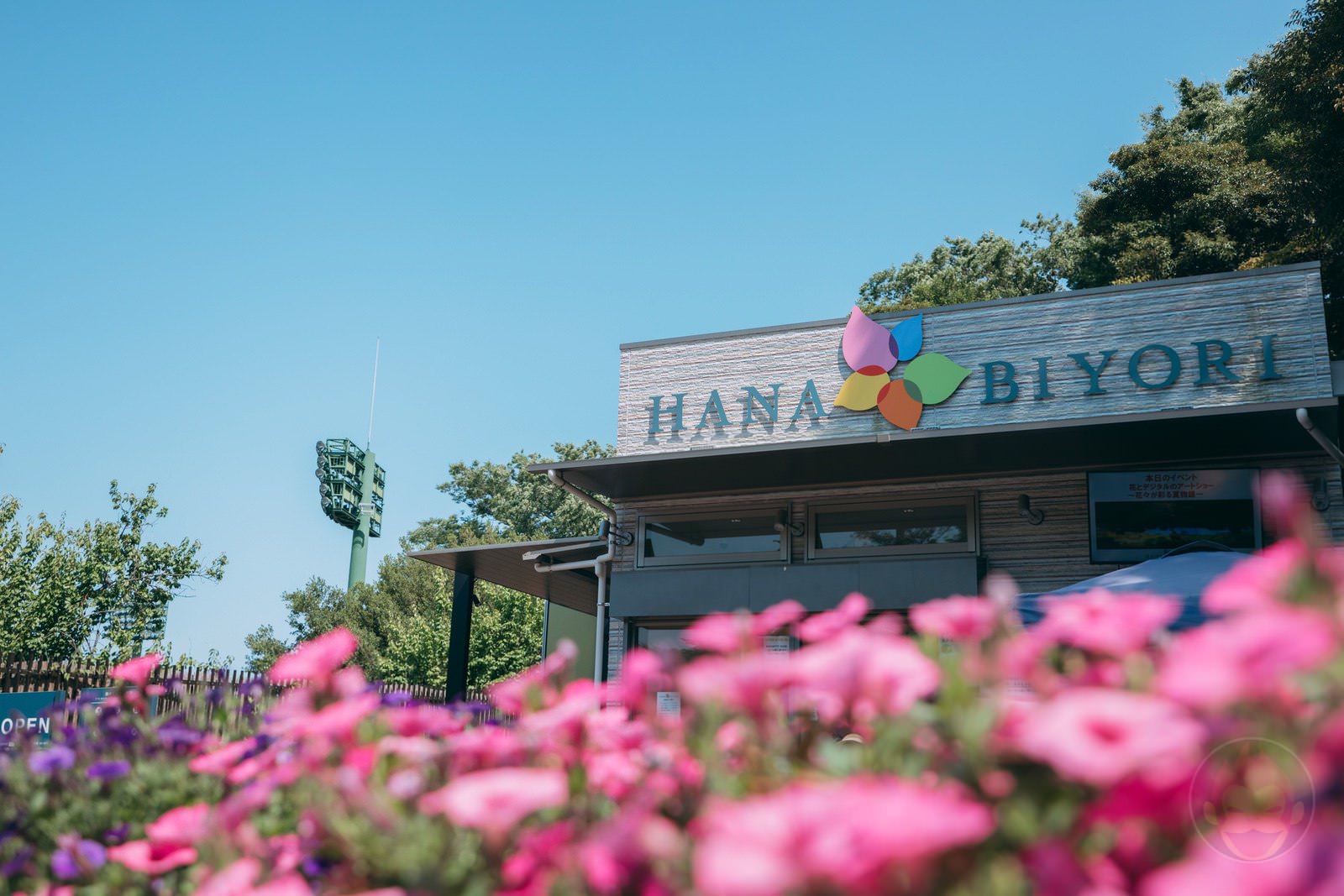 HANA BIYORI Yomiuri Land Flower Park FIreflies 01