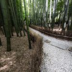 Kamakura-Houkokuji-Bamboo-Forest-and-Macha-tea-02.jpg