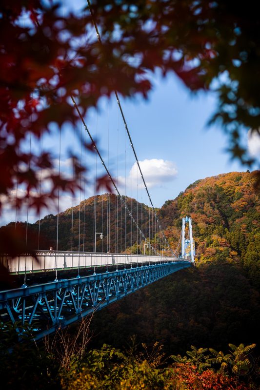 Shooting-beautiful-landscapes-and-autumn-leaves-around-Guunma-10.jpg