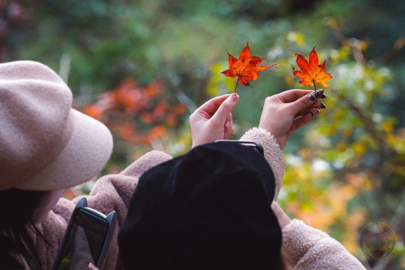 Shooting-beautiful-landscapes-and-autumn-leaves-around-Guunma-17.jpg
