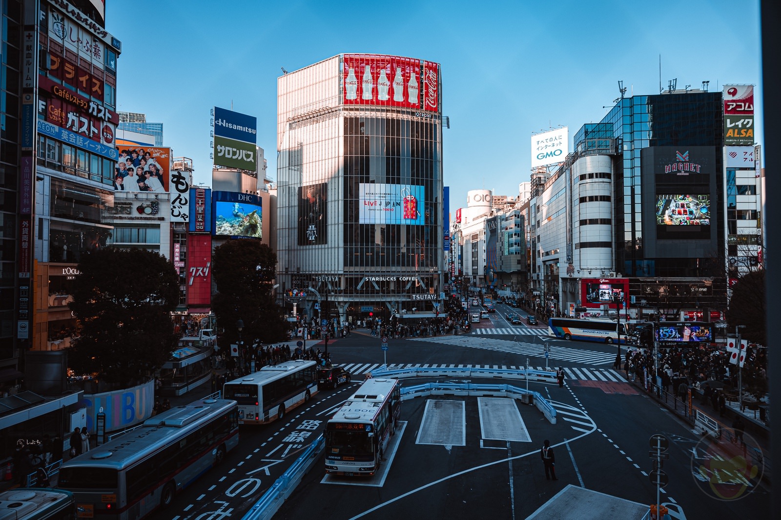 Shibuya Dusk and Night Street Photography with canonr6markII 05