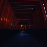 Kyoto-Fushimi-Inari-at-midnight-06.jpg