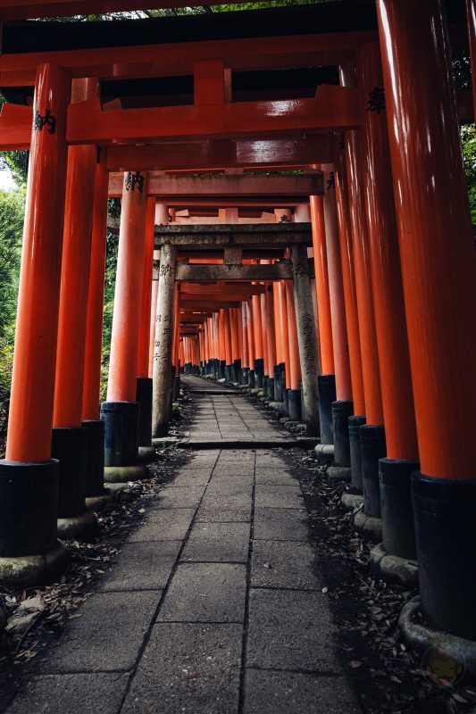 Kyoto-Fushimi-Inari-at-midnight-15.jpg