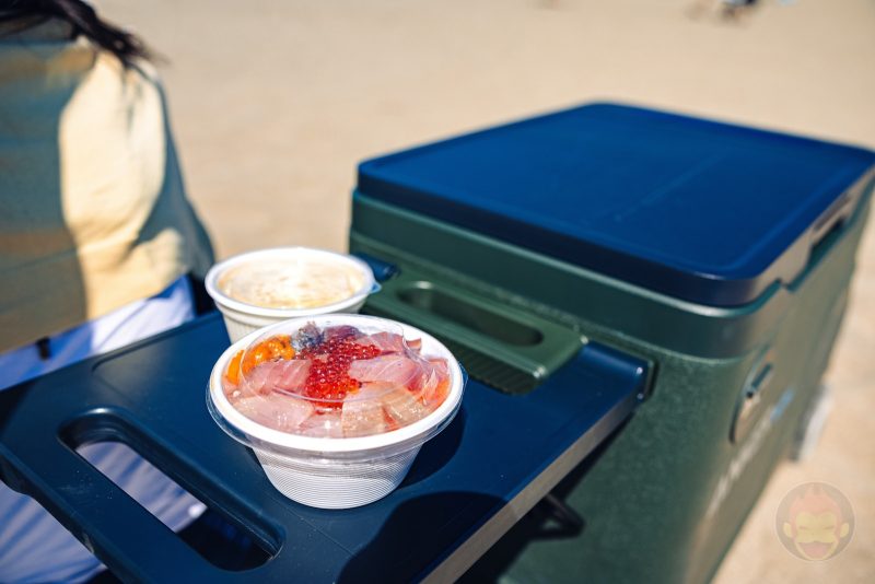 Anker-EverFrost-Powered-Cooler-30-Review-11.jpg