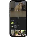 ios17-dog-recognition-in-photos.jpg