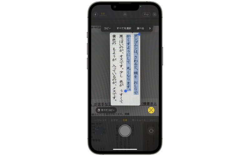 ios17-tategaki-in-japanese-live-text.jpg