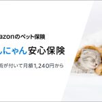 Amazon-Doggie-Insurance-01.jpg