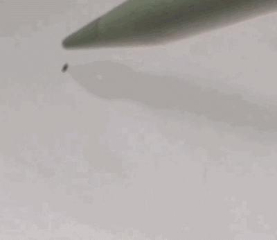 異常なこだわり