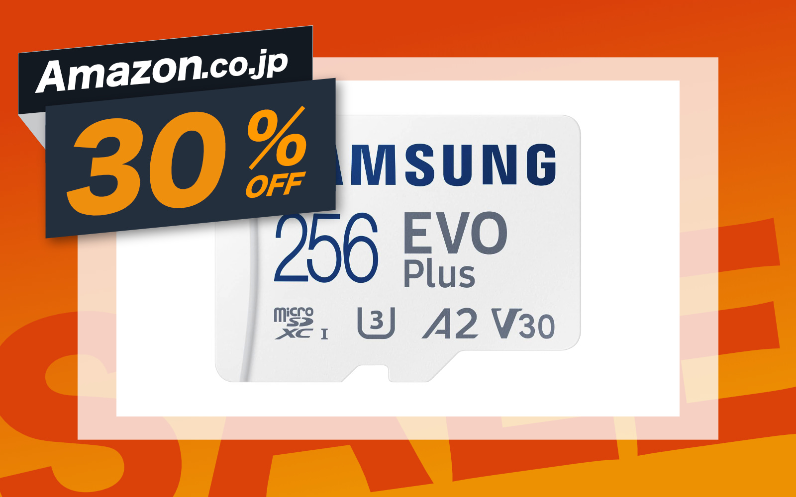 Samsung EVO Plus 256gb