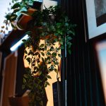 Fake-IKEA-plants-in-my-house-01.jpg