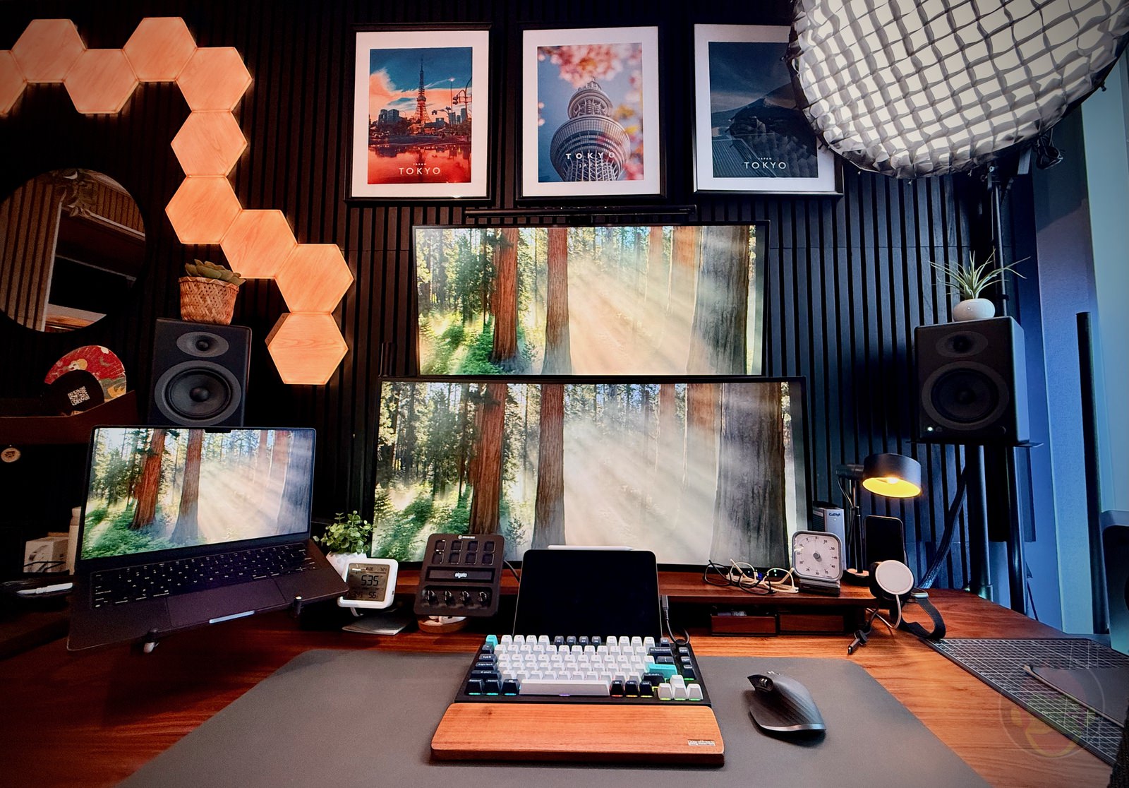 GoriMe-Desk-setup-01.jpg GoriMe Desk setup 01