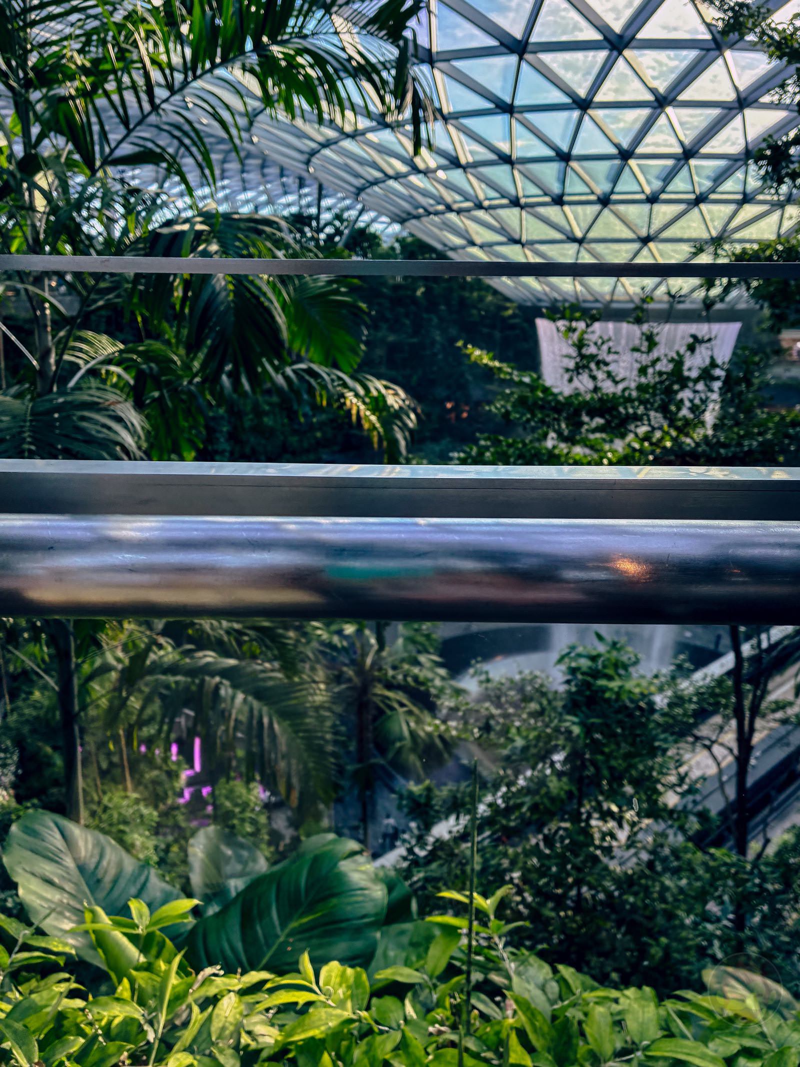 My Younger Daughters photos at singapore with iphone16e 12