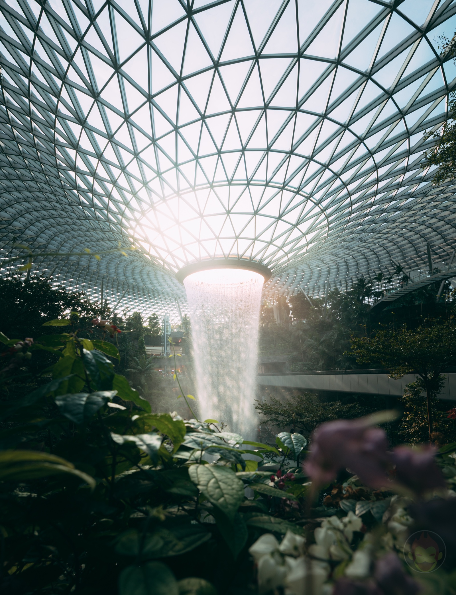 Photos of singapore taken by daddy 02