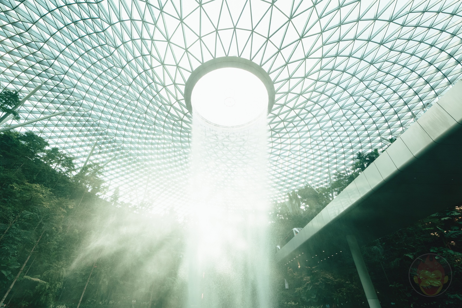 Photos of singapore taken by daddy 10